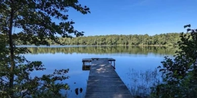 Серед лісів Волині ховається озеро з прозорою водою та рідкісними птахами (фото)