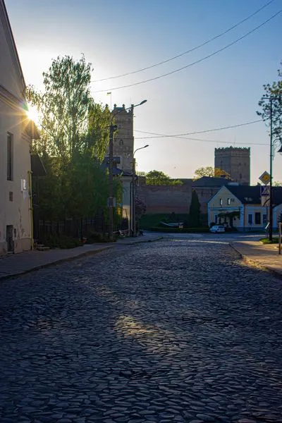 Відомий волинський історик показав особливе місце середньовічного Луцька (фото)