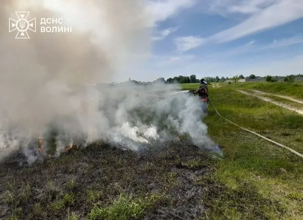 У Старій Вижві через необережне поводження з вогнем загорілося сміття (фото)
