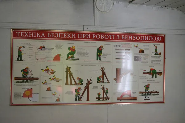Від сучків до дубових заготовок: як на Волині «пиляють» ліс (ФОТОРЕПОРТАЖ)