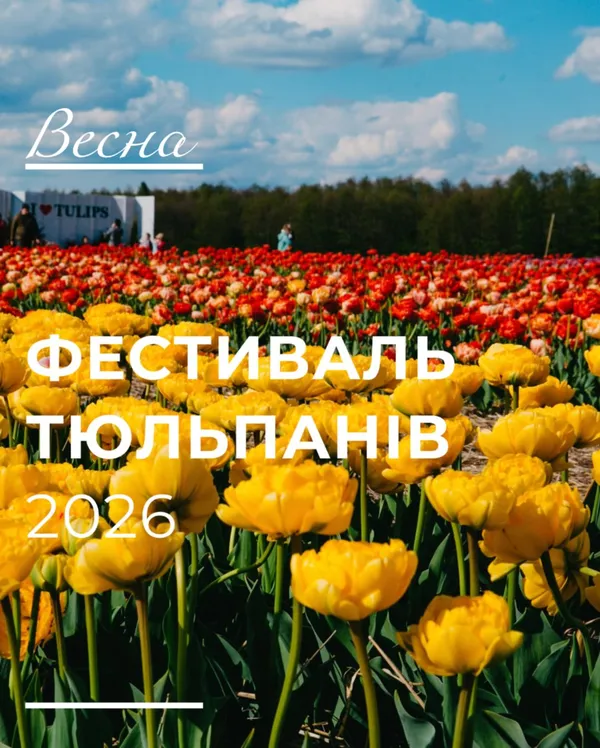 🌷Волинська Голландія: організатори розсекретили плани на цей рік