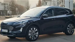 Кросовери на луцькому авторинку: які ціни та асортимент (відео)