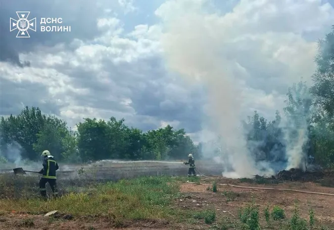 На Волині гасили пожежі на гектарах чагарників і торф’яників: що відомо (фото)