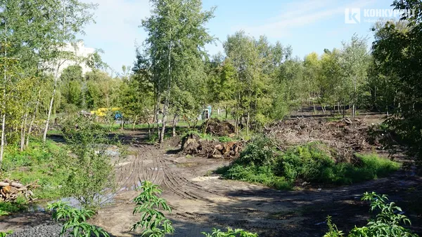 Парк на Набережній у Луцьку – вже за 70 млн: що там зараз відбувається (фото)