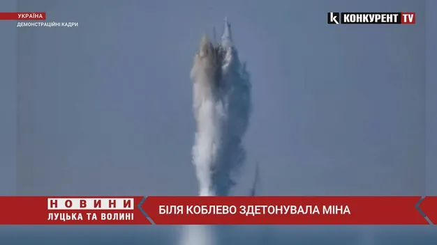 Біля Коблевого здетонувала міна, – ОК «Південь» (відео)