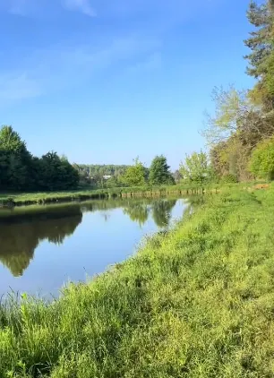 Де біля Луцька є ставок, у якому водиться форель і великі амури