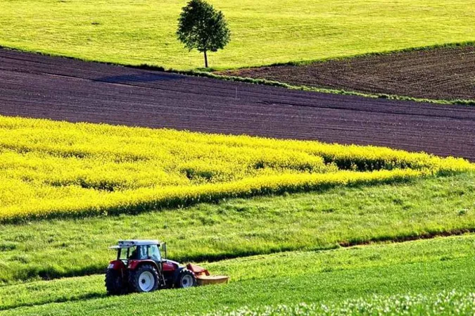 Волинського підприємця змусили віддати борги за оренду землі