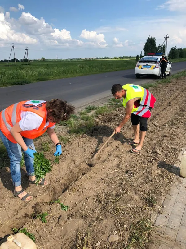 «Квітучий прапор України» збільшився на 2 км і простягнувся вздовж дороги Луцьк-Жидичин