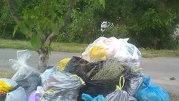 Лучани не хочуть встановлювати контейнери і викидають сміття на вулиці 