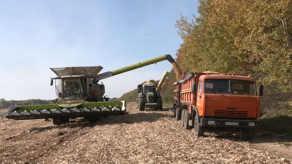 Через дощі на Волині затягнувся збір врожаю (фото)