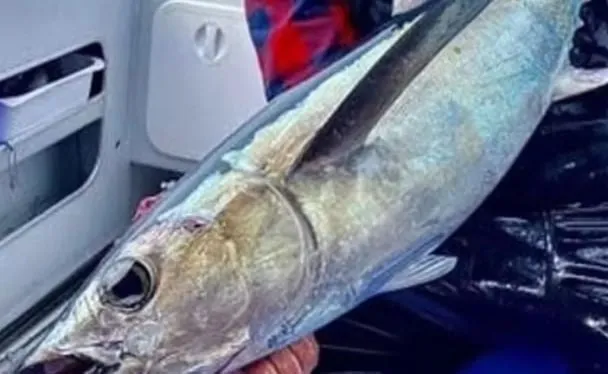 Рибалка зазнімкував на камеру статевий акт жінки з фореллю (фото)