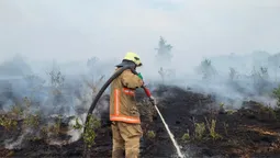 На Волині палають торфовища та суха трава: де зафіксували осередки займань