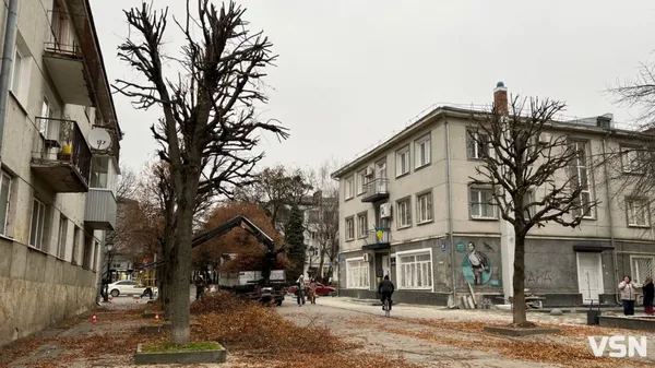 У Луцьку зрізають сухі дерева: куди потім дівається деревина і кому її віддають (фото)