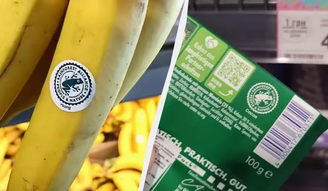 Українці зустрічають знак жаби на продуктах: що він означає