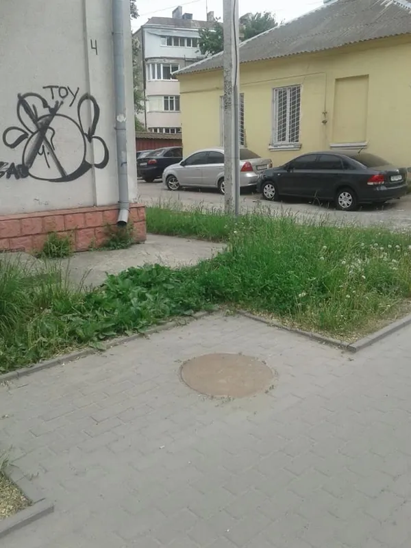 Луцьких підприємців просять підстригти газони (фото)