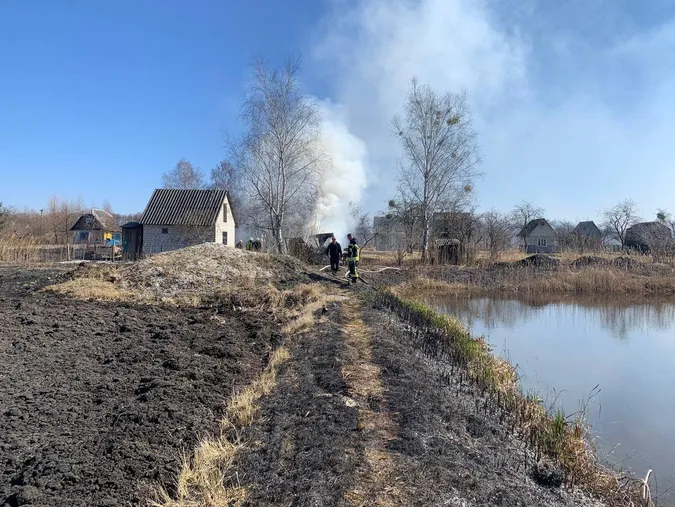 На Волині вогнеборці врятували двох їжачків (фото)