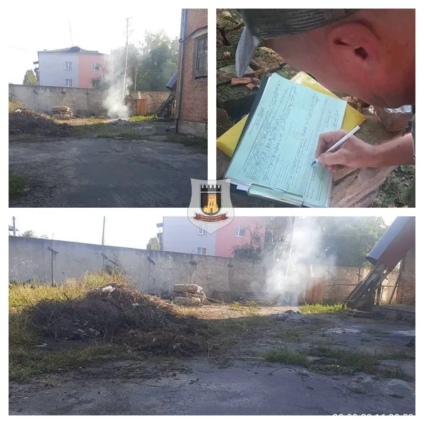 Палив траву: небайдужі лучани «здали» чоловіка муніципалам (фото)