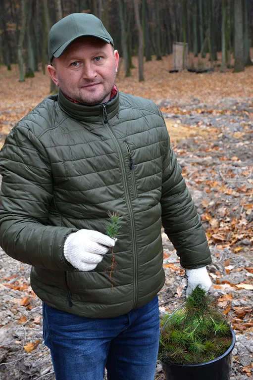 На Волині висадили тисячі дубів та сосен (фото)