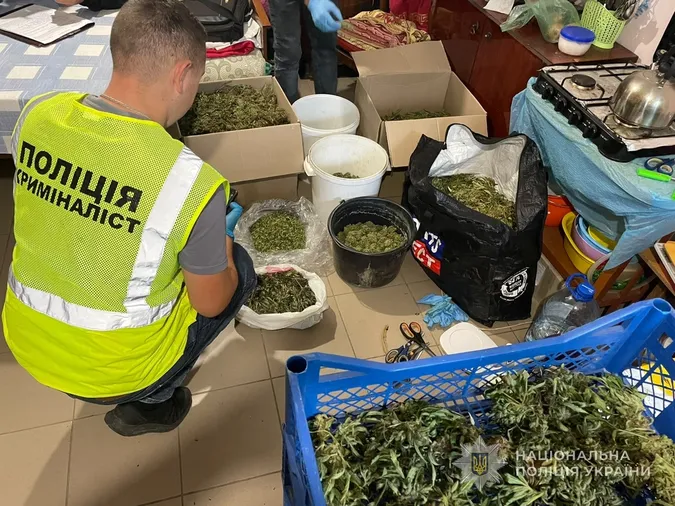 25 кілограмів канабісу та понад 300 конопель: поблизу Луцька викрили наркоторгівців