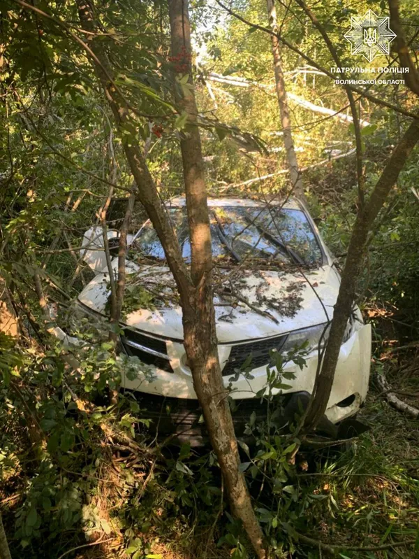 Дітей врятували паски безпеки: поблизу Маневичів авто злетіло в кювет (фото)