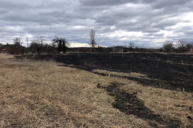 Через недопалок на Волині загорілася трава
