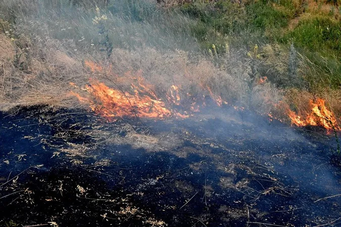 Трава й господарська споруда: за добу на Волині гасили дві пожежі