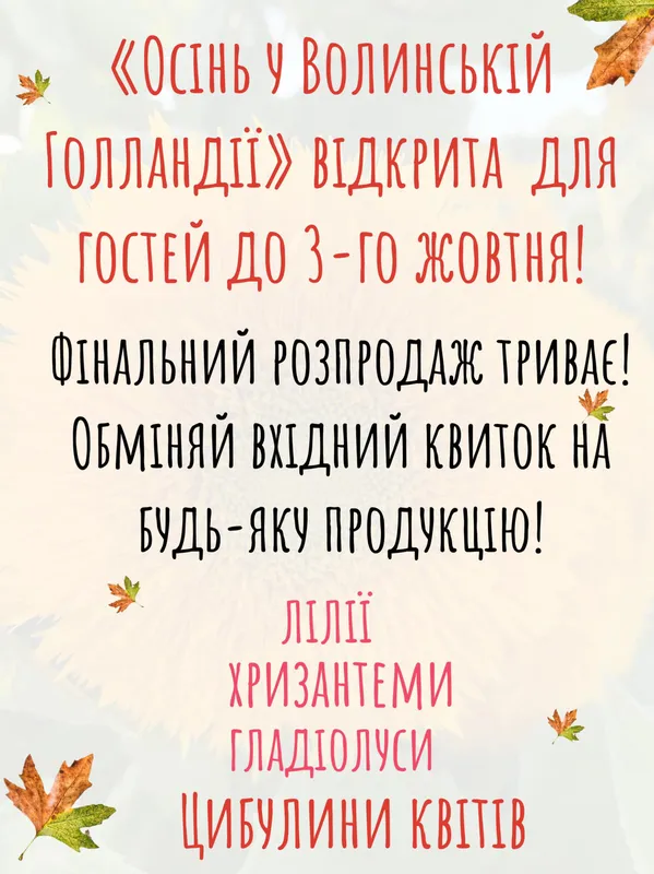 Фестиваль квітів «Осінь у Волинській Голландії» продовжили вдруге