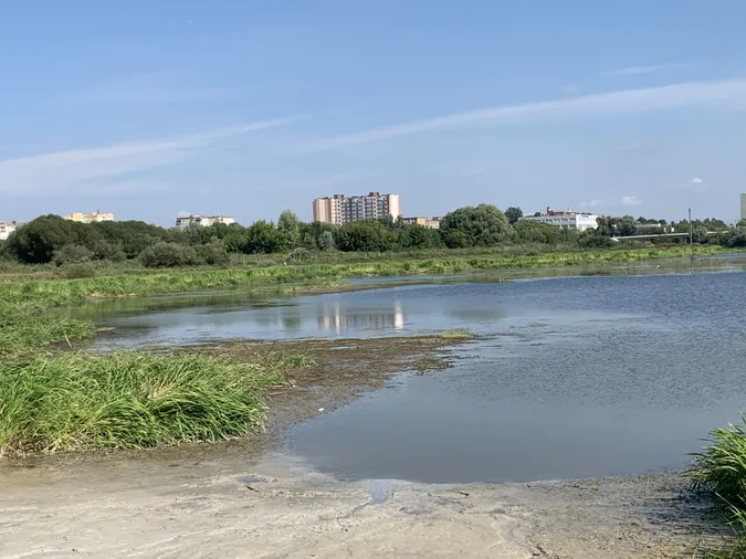 Коронавірус: цьогоріч заплаву Стиру не очистять