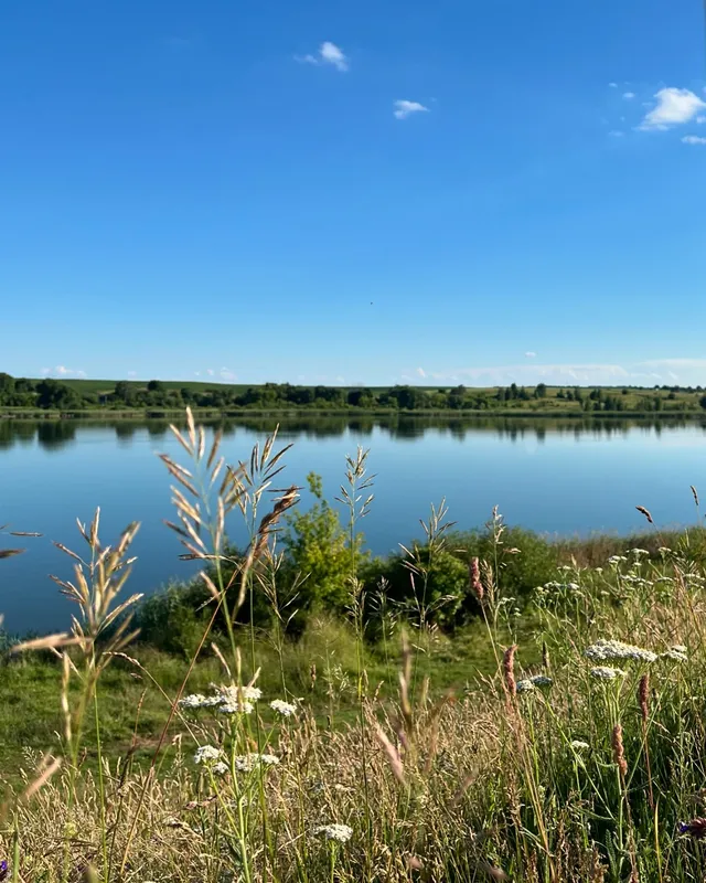 За 30 кілометрів від Луцька розкинулось мальовниче озеро з червонокнижними рослинами та птахами (фото)