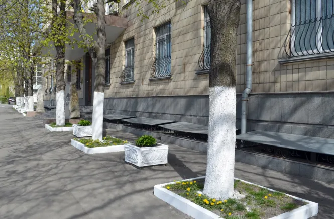 Українців закликають не білити дерева і бордюри