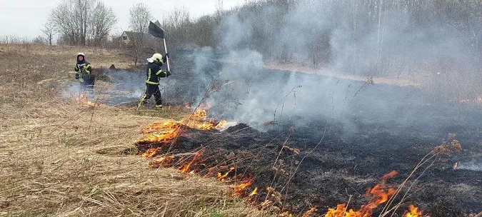 У Луцькому районі горів сухостій – гасили підручними засобами (фото)