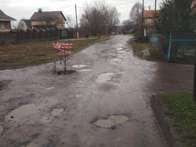 Болото та калюжі: лучанин поскаржився на жахливий стан вулиці (фото)