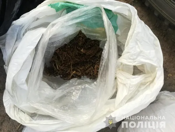 У гаражі лучанина знайшли наркотики й три кілограми бурштину (фото)