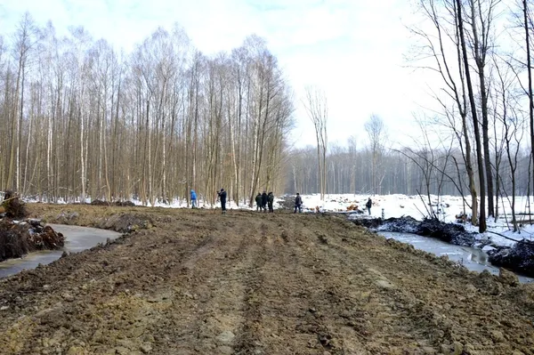 Огляд будування лісової дороги