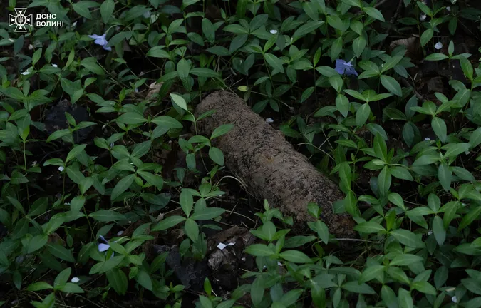 На Волині сапери «чистять» ліс від вибухонебезпечних предметів (фото)