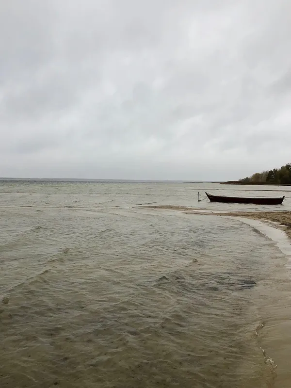 Осінній Світязь зачаровує: показали неповторну красу головного озера Волині (фото)