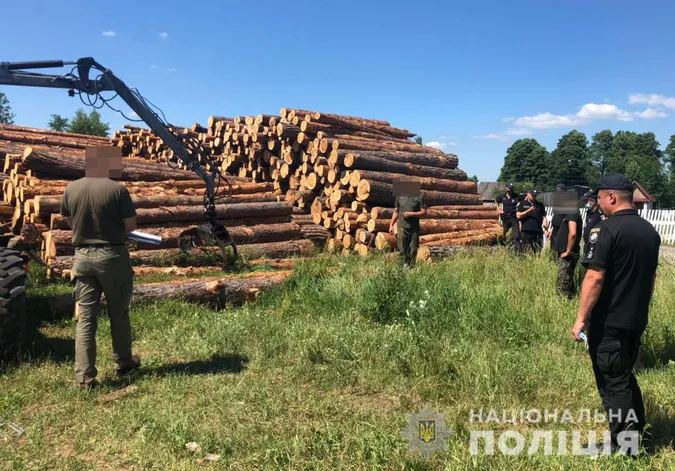 На Камінь-Каширщині – масштабні обшуки: шукають «лівий» ліс (фото)