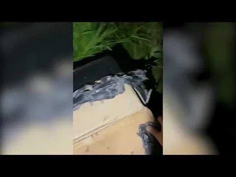 Луцькі прикордонники зірвали перевезення через кордон 12 ящиків сигарет (відео)