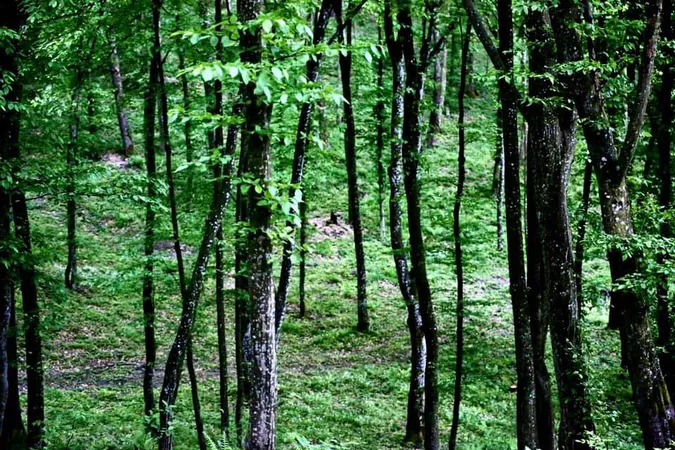 Показали сонячні фото весняного Воротнева