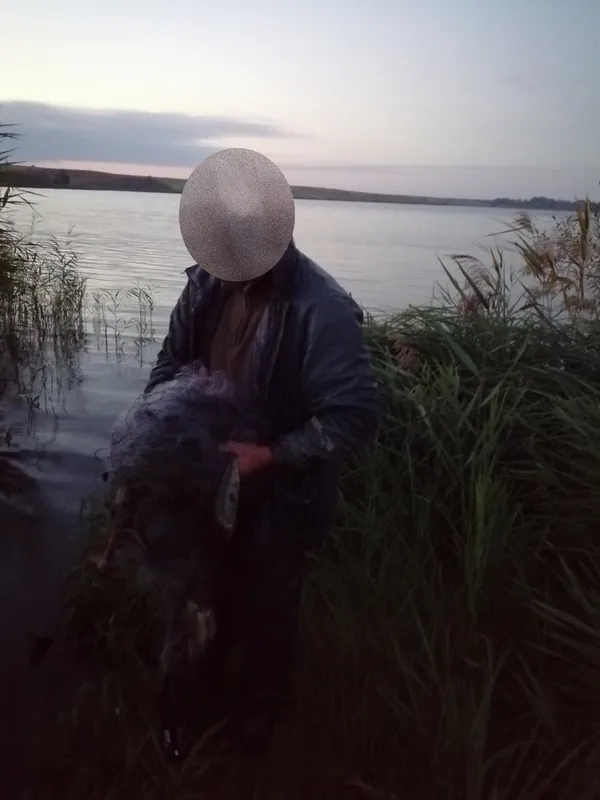 Карасі та окуні в сітці: в заказнику на Волині зловили браконьєра (фото)