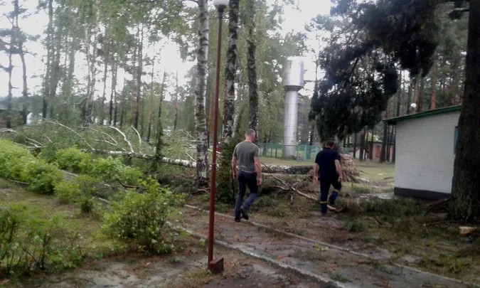 Власникам закладів на Світязі, де вирував буревій, порадили знести аварійні дерева (фото)