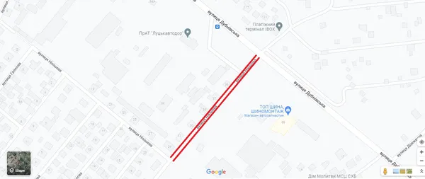 Збивають домашніх тварин: у Луцьку просять встановити лежачого поліцейського (петиція)