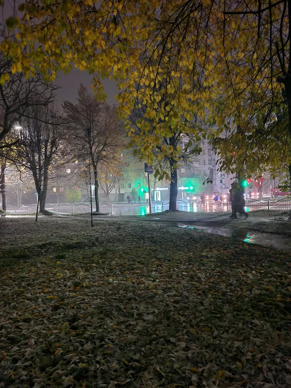 Розмаїття засніжених пейзажів у Луцьку (фото)