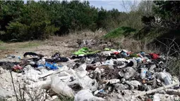 На Волині виявили шість стихійних сміттєзвалищ (фото)