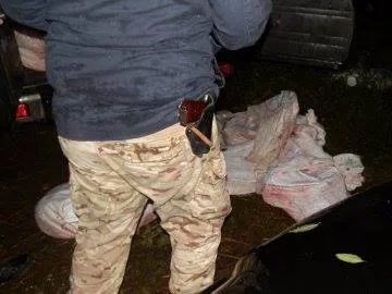 На Волині в заповіднику застрелили двох лосів (фото)