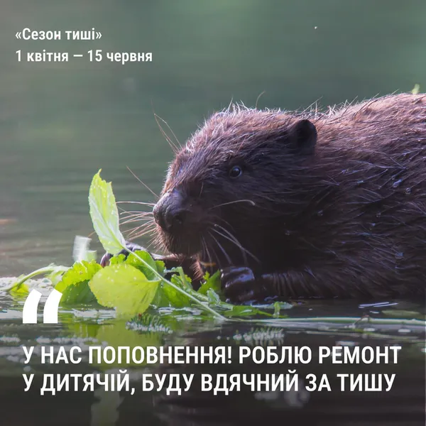 У лісах Волині заборонили кричати