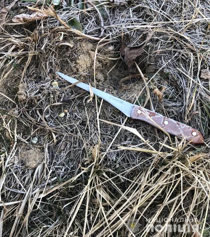 На Волині чоловік вдарив ножем у груди свого односельця