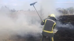 Палав очерет, торф і сміття: на Волині пожежі знищили 8 гектарів території