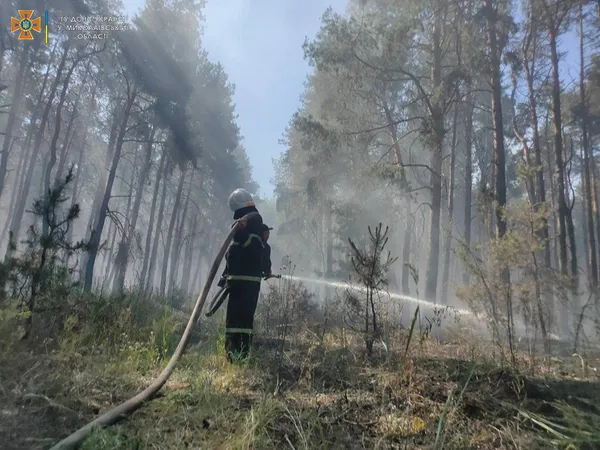 Внаслідок обстрілу Миколаєва у місті спалахнуло 6 пожеж (фото)