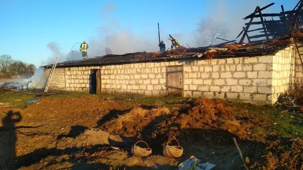 На Волині діти підпалили господарські будівлі (фото)